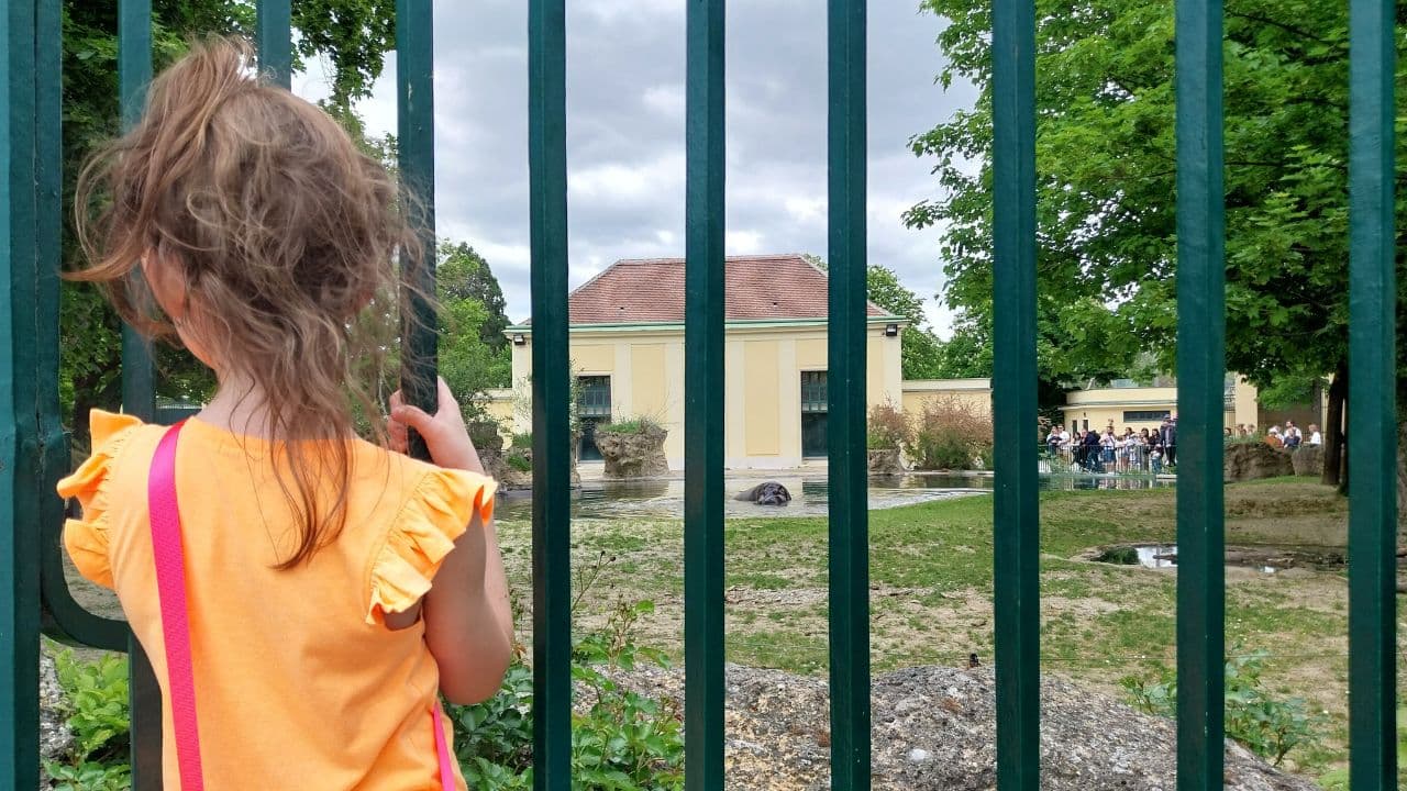 Schönbrunn: najstaršia ZOO na svete a jednotka v Európe