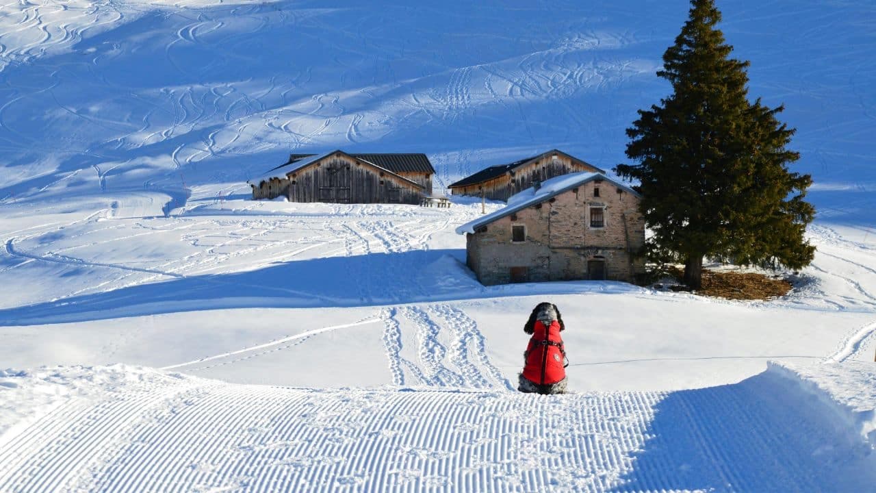 Lyžiarske strediská: Courchevel vo Francúzsku